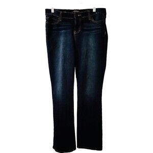 Liverpool Jeans Womens 8/29 Blue Sadie Straight Mid Rise Dark Wash Denim